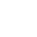 Tidal